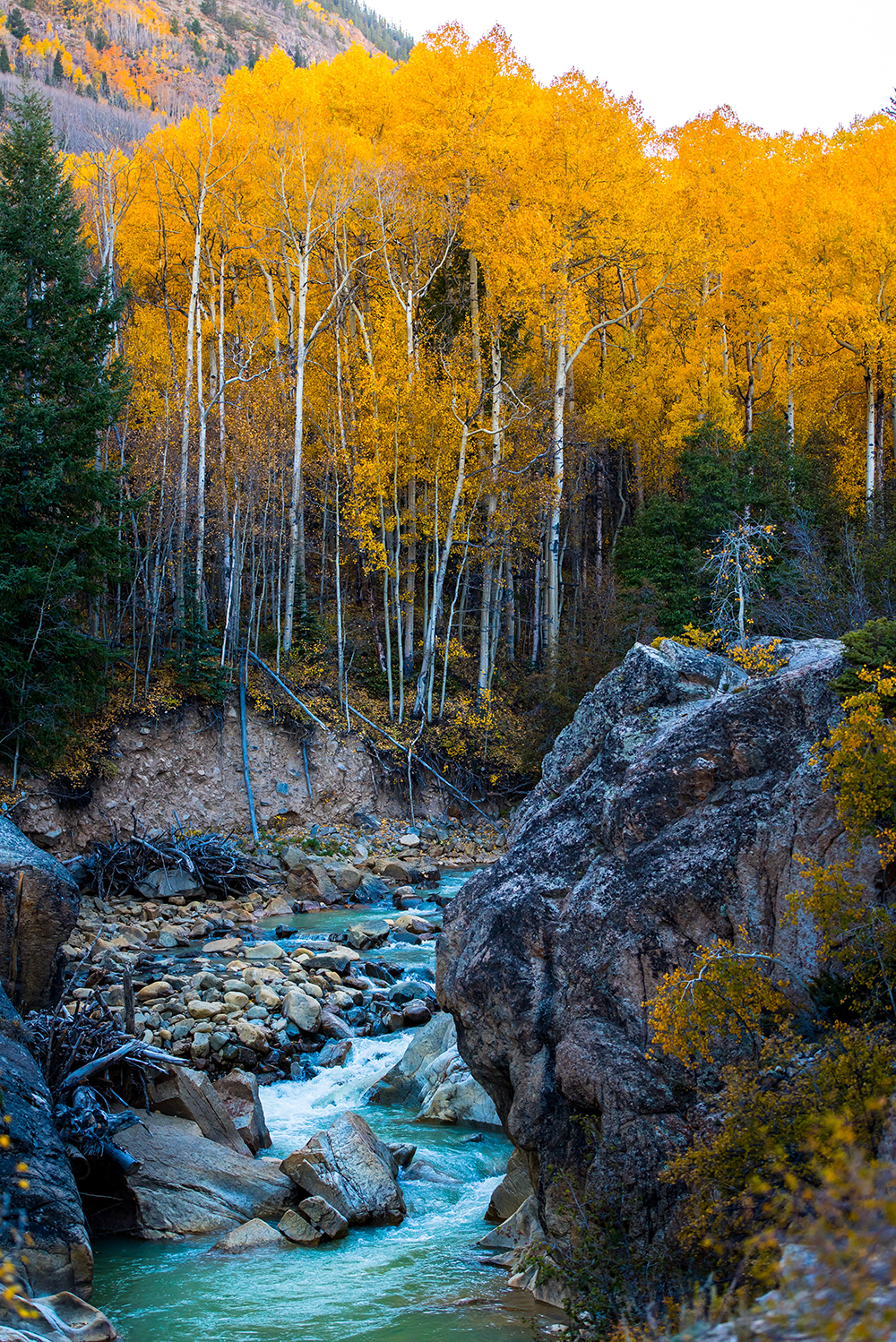 A stream surrounded by rocks and trees with orange leaves | Motif