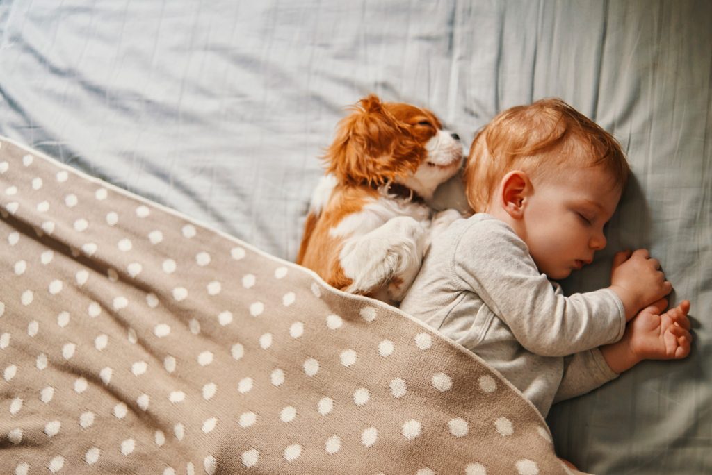 A baby sleeping with a small puppy | Motif