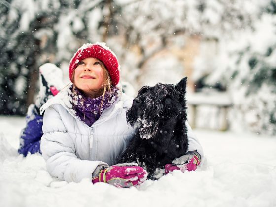A girl and her dog laying down in the snow | Motif