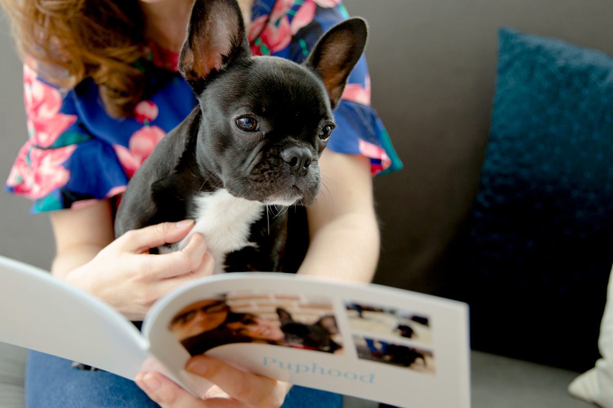 A girl and her french bulldog looking at a custom pet brag book | Motif