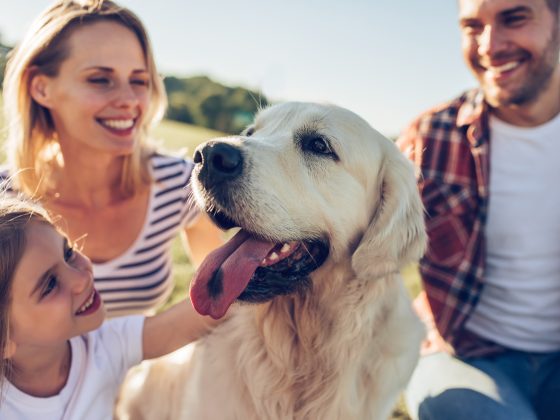 Great pet photos include a smiling golden retriever with his happy family.