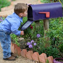 Little boy looks inside blue mailbox for a thinking of you card.